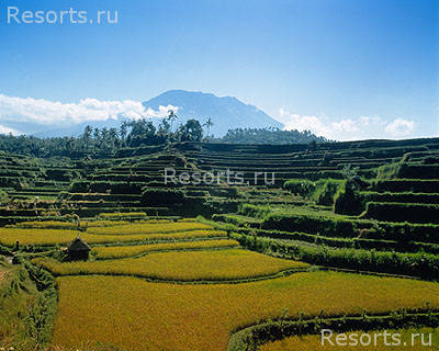 Four Seasons Resort Bali at Jimbaran Bay 40